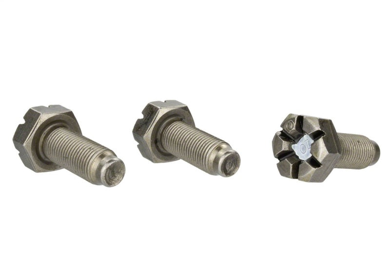 
                      
                        Ford Racing 4.6L Manual Flywheel Bolts
                      
                    