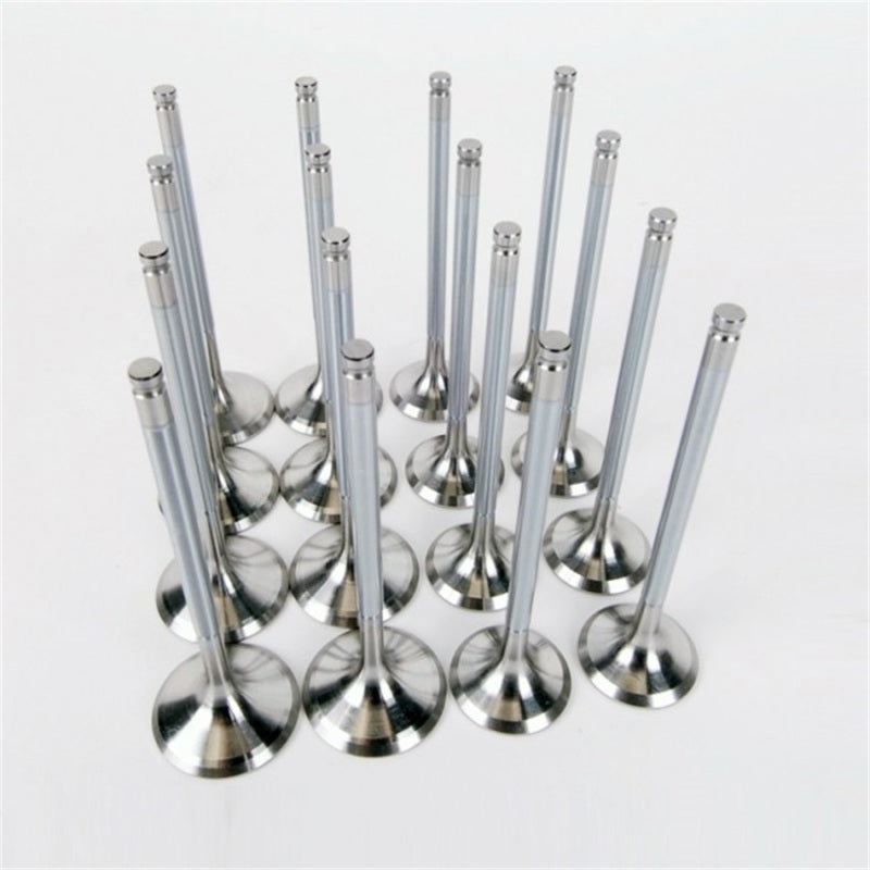 
                      
                        Skunk2 Alpha Series Honda/Acura Stock Size H Series Valve Set (Standard Compression)
                      
                    