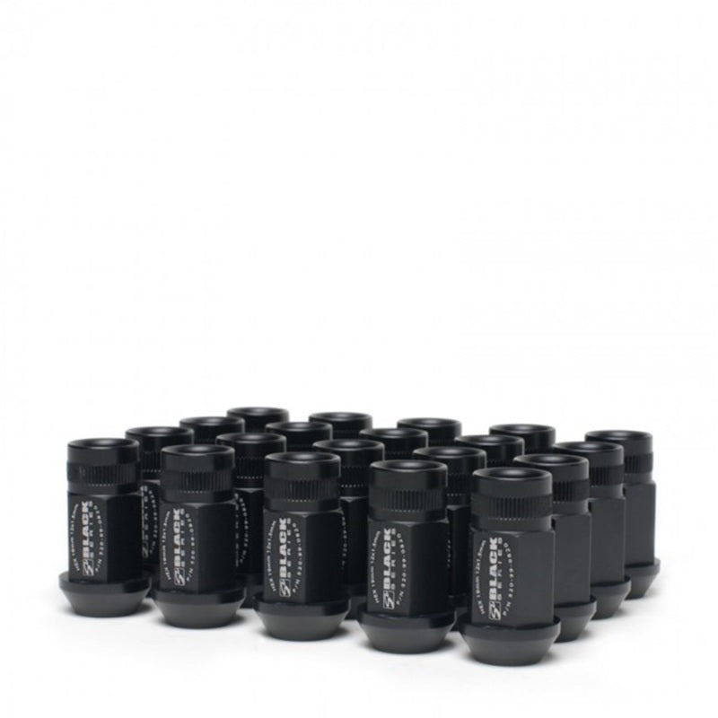 
                      
                        Skunk2 12 x 1.5 Forged Lug Nut Set (Black Series) (16 Pcs.)
                      
                    