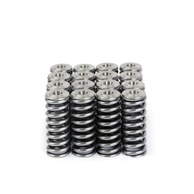 
                      
                        Skunk2 Alpha Series Honda/Acura D Series Valve Spring and Titanium Retainer Kit
                      
                    