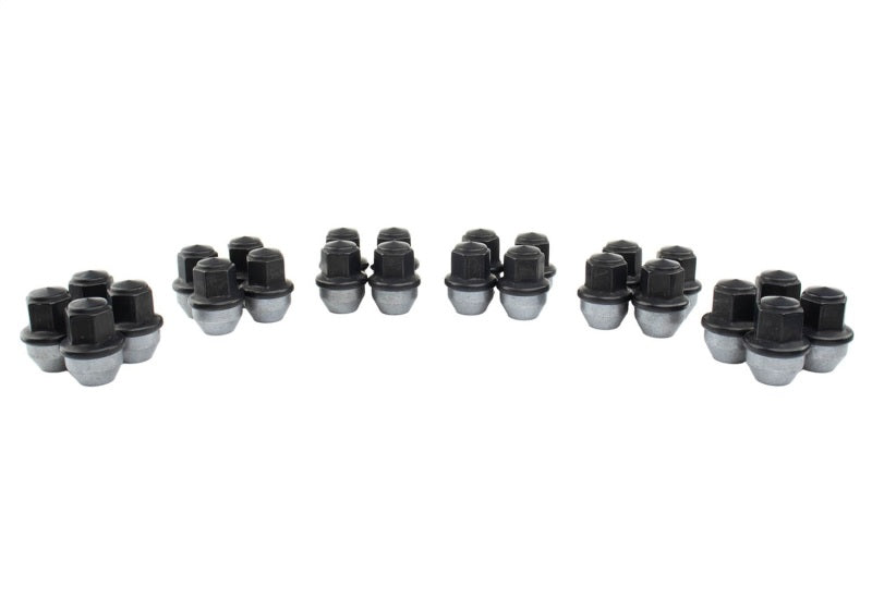 
                      
                        Ford Racing M14 x 1.5 Black Lug Nut - Set of 24
                      
                    