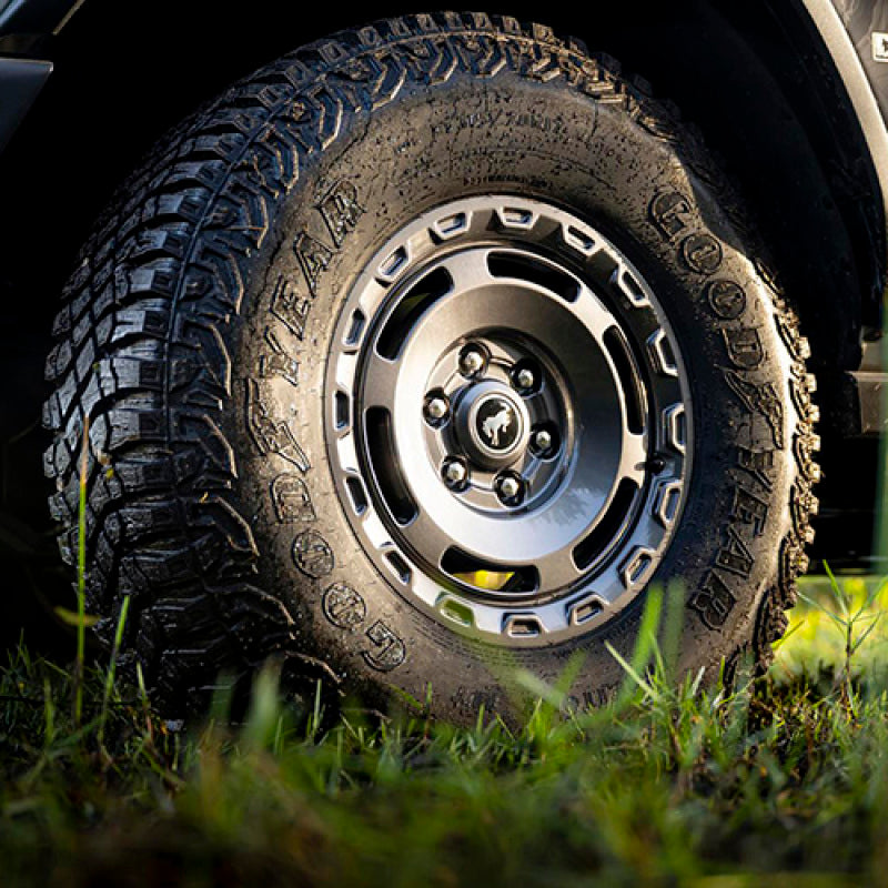 
                      
                        Ford Racing 21-23 Bronco Everglades Wheel Kit - Carbonized Gray
                      
                    