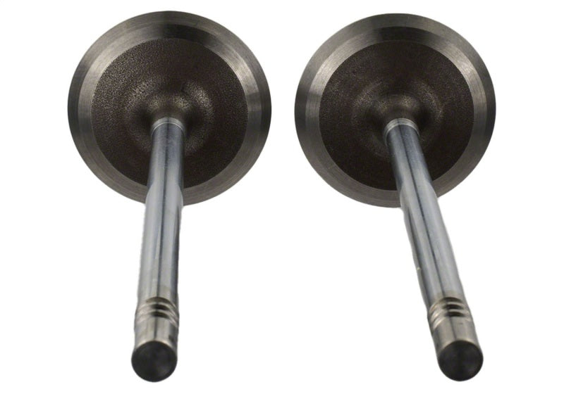 
                      
                        Ford Racing Coyote 5.2L Lightweight Intake Valve - Set of 8
                      
                    