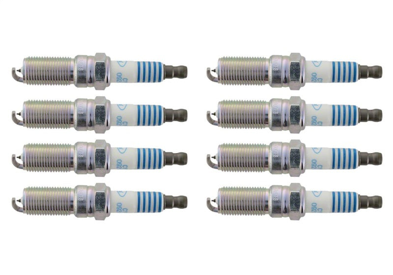 
                      
                        Ford Racing 11-21 Mustang GT 5.0L Cold Spark Plug Set
                      
                    