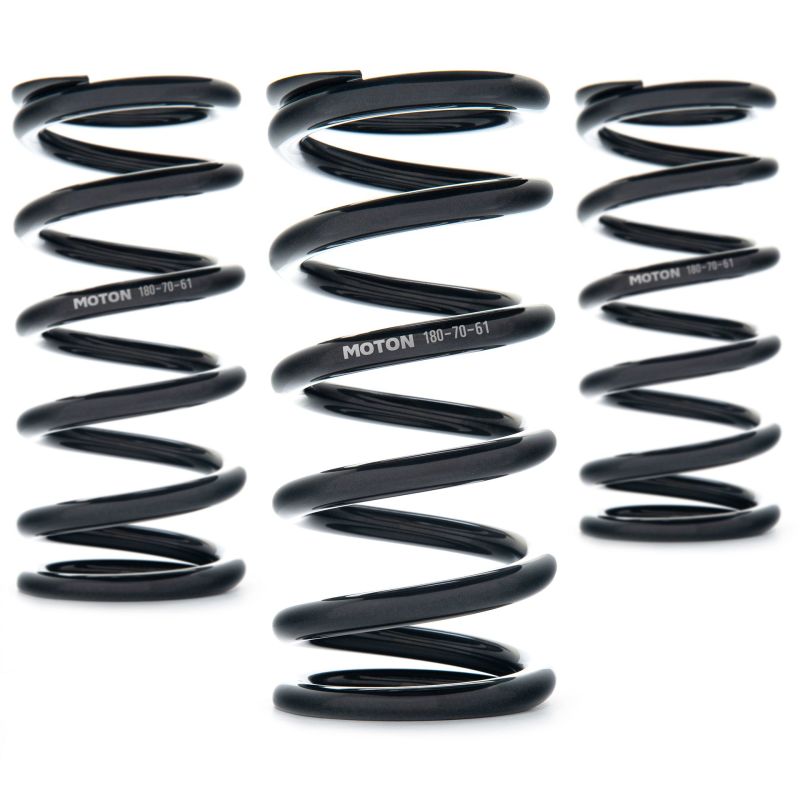 AST Linear Race Springs - 80mm Length x 100 N/mm Rate x 61mm ID - Single