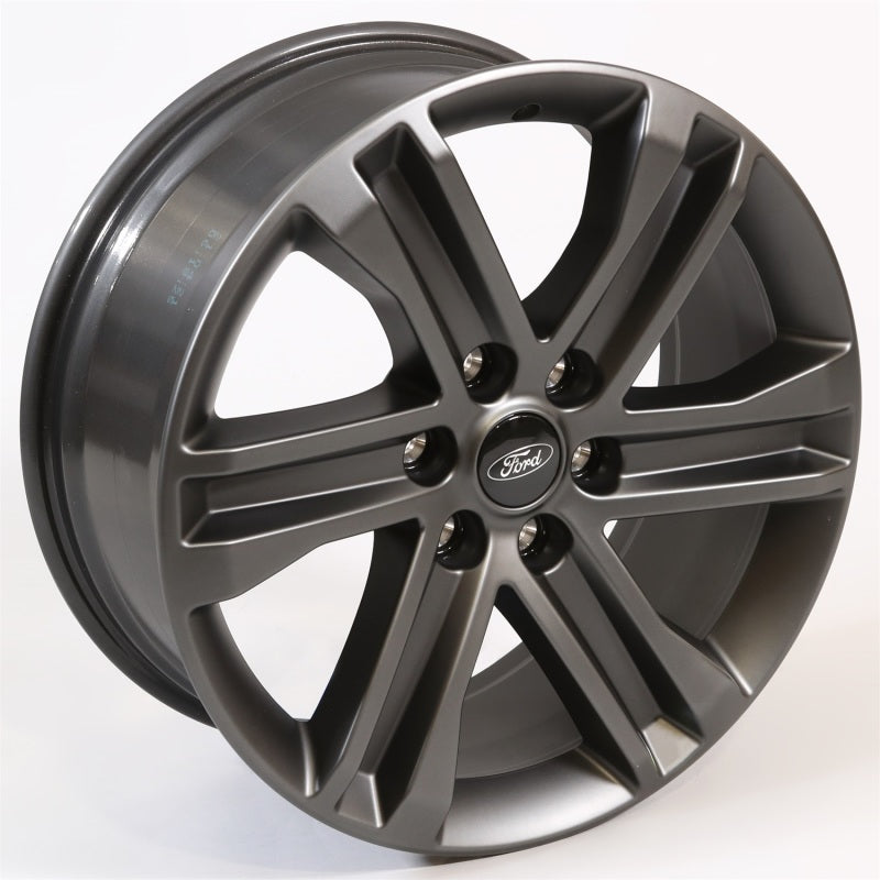 
                      
                        Ford Racing 15-22 F-150 20x8.5 Dark Alloy Wheel Kit
                      
                    