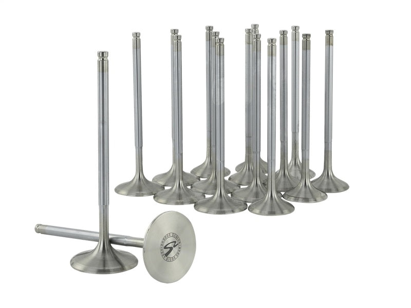 
                      
                        Skunk2 Alpha Series Honda/Acura Stock Size H Series Valve Set (Standard Compression)
                      
                    