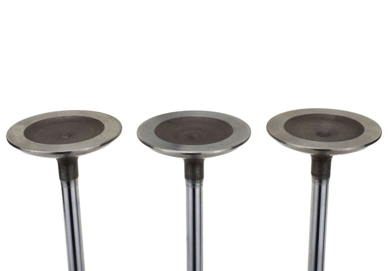 
                      
                        Ford Racing Coyote 5.2L Lightweight Intake Valve - Set of 8
                      
                    