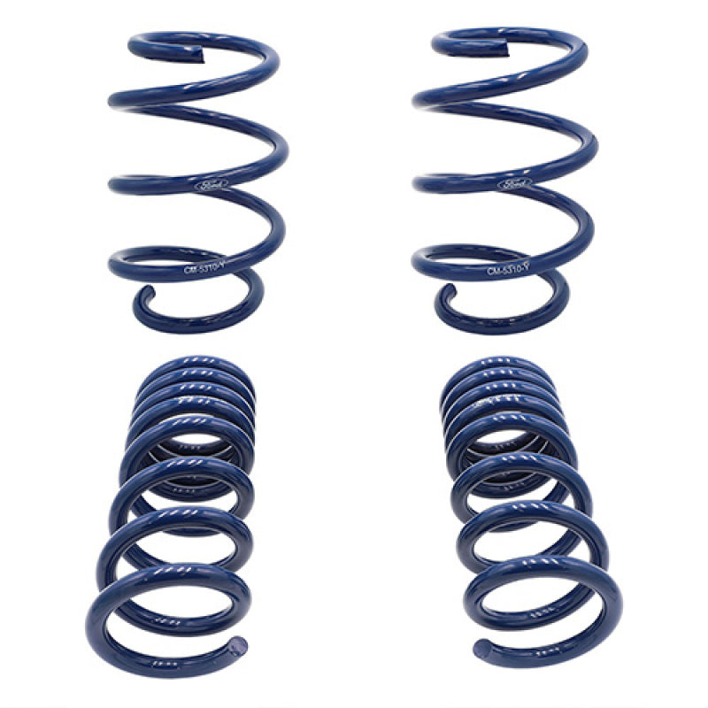 
                      
                        Ford Racing 2015-2017 Mustang GT350 Lowering Springs
                      
                    