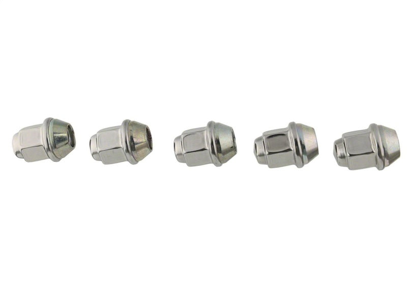 
                      
                        Ford Racing Lug Nuts
                      
                    