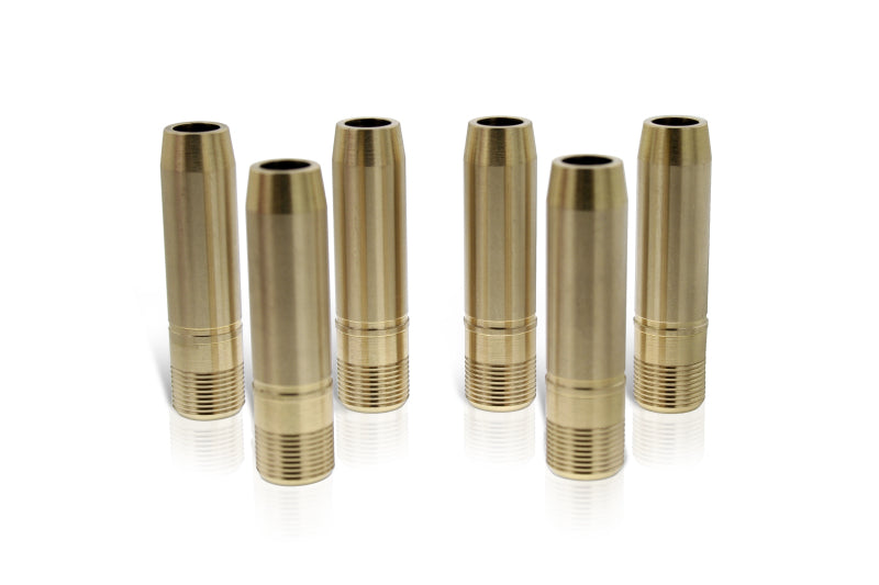 Ferrea Chevy LS1/LS7 5/16 .502 AD 2.000 Länge .500 ID Auspuff-/Innenventilführung - 8er-Set (erfordert VS1021)