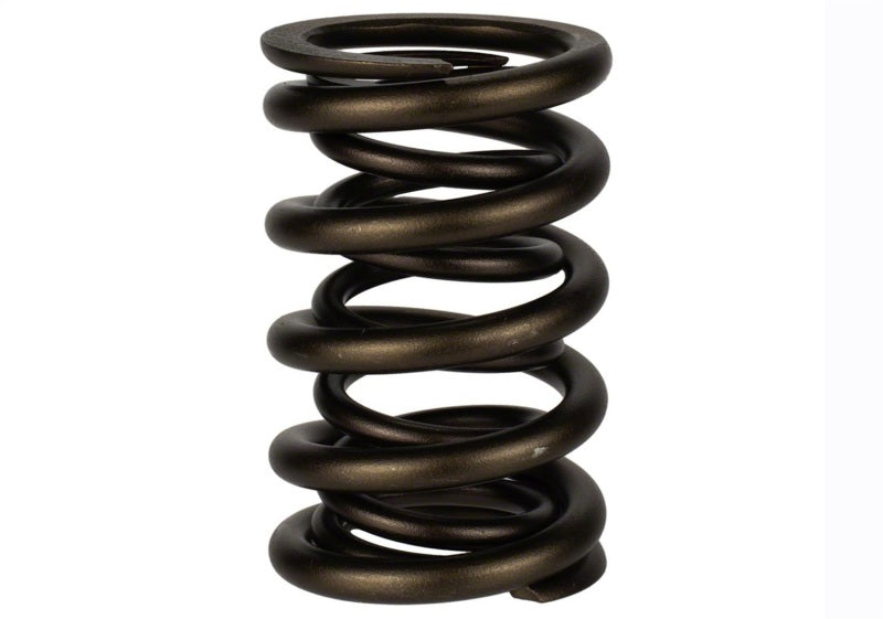 
                      
                        Ford Racing  Replacement Hydraulic Roller Valve Spring - Single (For M-6049-SCJA)
                      
                    