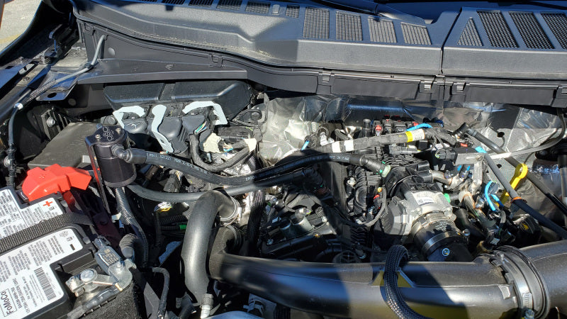
                      
                        J&amp;L 2011–2025 Ford F-150 2,7 l/3,5 l/5,0 l Ölabscheider 3.0 für die Beifahrerseite, schwarz eloxiert
                      
                    