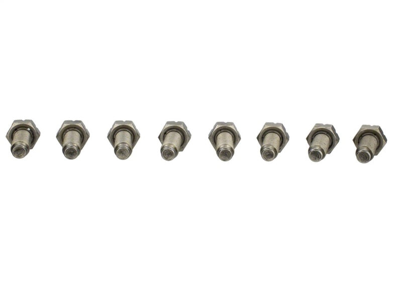 
                      
                        Ford Racing 4.6L Manual Flywheel Bolts
                      
                    
