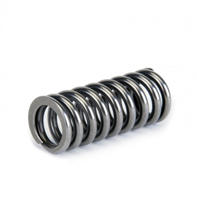 
                      
                        Skunk2 Alpha Series Honda D Series VTEC Valve Spring Set
                      
                    