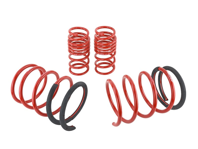 
                      
                        Skunk2 05-06 Acura RSX Lowering Springs (2.25in - 2.00in.) (Set of 4)
                      
                    