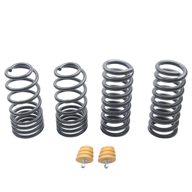 
                      
                        ST Sport-tech Lowering Springs Ford Mustang 3rd gen. / 4th gen.
                      
                    