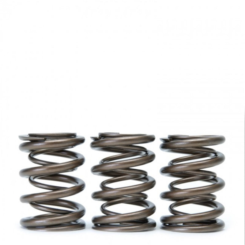 
                      
                        Skunk2 Tuner Series Honda/Acura (B16A/ B17A/ B18C) DOHC VTEC Alpha Valve Spring Set (Dual Springs)
                      
                    